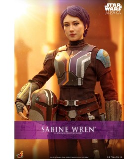 SABINE WREN HOT TOYS