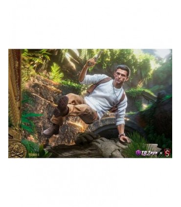 NATHAN TGTOYS (Tough Guys) SWTOYS TG8011 1/6