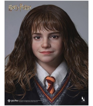 HERMIONE GRANGER INART A011D1 1/6 SCALE