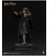HERMIONE GRANGER INART A011D1 1/6 SCALE