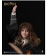HERMIONE GRANGER INART A011D1 1/6 SCALE