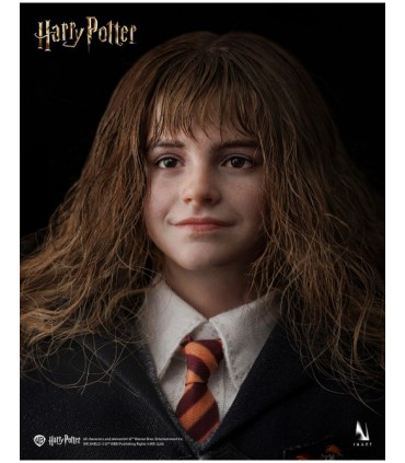HERMIONE GRANGER INART A011D1 1/6 SCALE