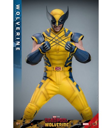 WOLVERINE HOT TOYS DEADPOOL & WOLVERINE MOVIE