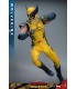 WOLVERINE HOT TOYS DEADPOOL & WOLVERINE MOVIE