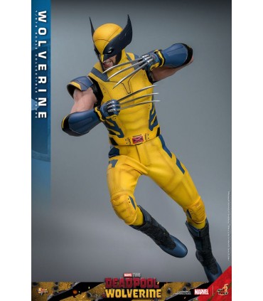 WOLVERINE HOT TOYS DEADPOOL & WOLVERINE MOVIE