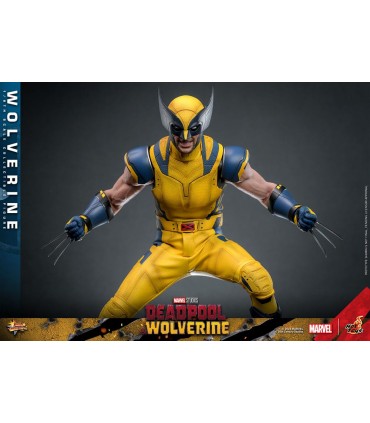 WOLVERINE HOT TOYS DEADPOOL & WOLVERINE MOVIE