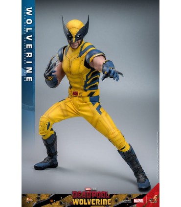 WOLVERINE HOT TOYS DEADPOOL & WOLVERINE MOVIE