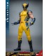 WOLVERINE HOT TOYS DEADPOOL & WOLVERINE MOVIE