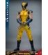 WOLVERINE HOT TOYS DEADPOOL & WOLVERINE MOVIE
