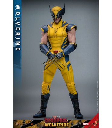 WOLVERINE HOT TOYS DEADPOOL & WOLVERINE MOVIE