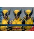 WOLVERINE HOT TOYS DEADPOOL & WOLVERINE MOVIE