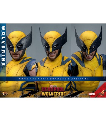 WOLVERINE HOT TOYS DEADPOOL & WOLVERINE MOVIE