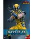 WOLVERINE DELUXE HOT TOYS DEADPOOL & WOLVERINE MOVIE