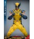 WOLVERINE DELUXE HOT TOYS DEADPOOL & WOLVERINE MOVIE