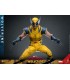 WOLVERINE DELUXE HOT TOYS DEADPOOL & WOLVERINE MOVIE