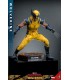 WOLVERINE DELUXE HOT TOYS DEADPOOL & WOLVERINE MOVIE