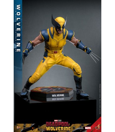 WOLVERINE DELUXE HOT TOYS DEADPOOL & WOLVERINE MOVIE