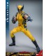WOLVERINE DELUXE HOT TOYS DEADPOOL & WOLVERINE MOVIE