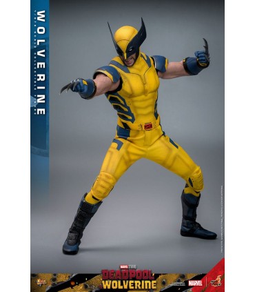 WOLVERINE DELUXE HOT TOYS DEADPOOL & WOLVERINE MOVIE