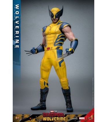 WOLVERINE DELUXE HOT TOYS DEADPOOL & WOLVERINE MOVIE