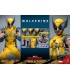 WOLVERINE DELUXE HOT TOYS DEADPOOL & WOLVERINE MOVIE