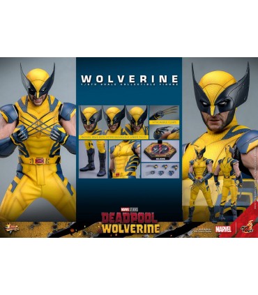 WOLVERINE DELUXE HOT TOYS DEADPOOL & WOLVERINE MOVIE