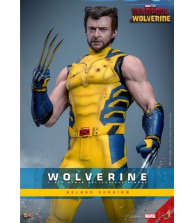 WOLVERINE DELUXE HOT TOYS DEADPOOL & WOLVERINE MOVIE