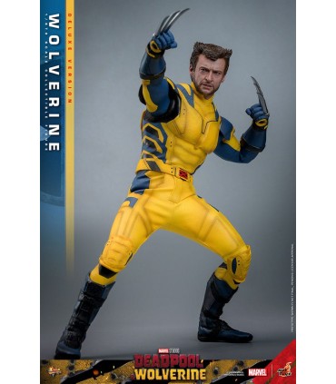 WOLVERINE DELUXE HOT TOYS DEADPOOL & WOLVERINE MOVIE