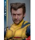 WOLVERINE DELUXE HOT TOYS DEADPOOL & WOLVERINE MOVIE