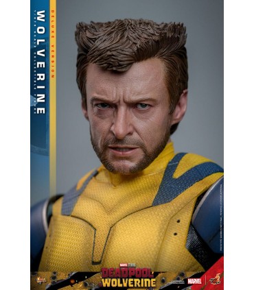 WOLVERINE DELUXE HOT TOYS DEADPOOL & WOLVERINE MOVIE