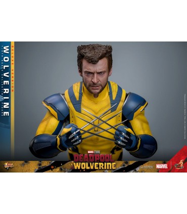 WOLVERINE DELUXE HOT TOYS DEADPOOL & WOLVERINE MOVIE