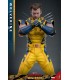 WOLVERINE DELUXE HOT TOYS DEADPOOL & WOLVERINE MOVIE