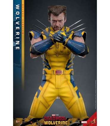 WOLVERINE DELUXE HOT TOYS DEADPOOL & WOLVERINE MOVIE