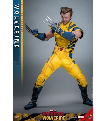 WOLVERINE DELUXE HOT TOYS DEADPOOL & WOLVERINE MOVIE