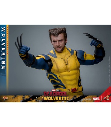 WOLVERINE DELUXE HOT TOYS DEADPOOL & WOLVERINE MOVIE