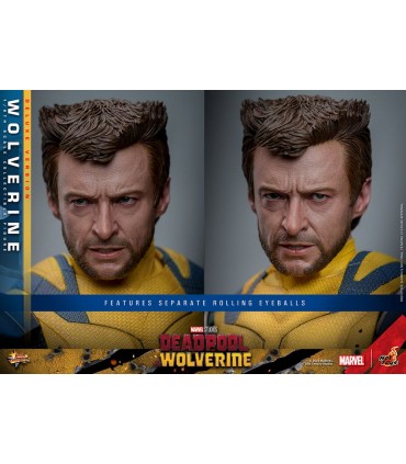 WOLVERINE DELUXE HOT TOYS DEADPOOL & WOLVERINE MOVIE
