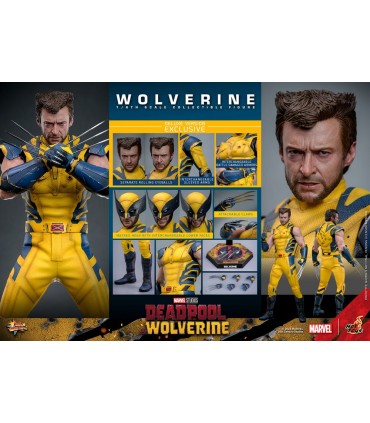 WOLVERINE DELUXE HOT TOYS DEADPOOL & WOLVERINE MOVIE