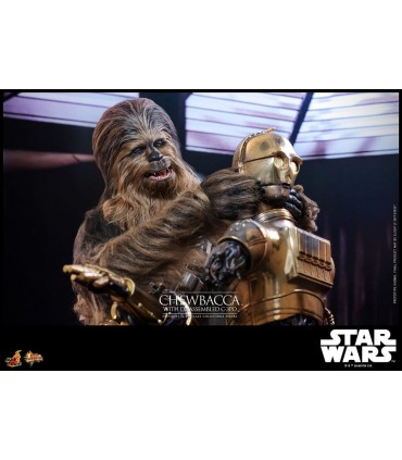 CHEWBACCA WITH DISASSEMBLED C-3PO HOT TOYS