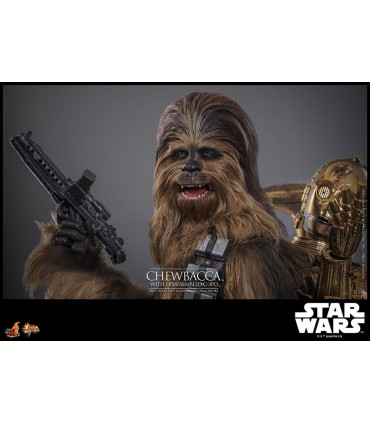 CHEWBACCA WITH DISASSEMBLED C-3PO HOT TOYS