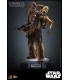 CHEWBACCA WITH DISASSEMBLED C-3PO HOT TOYS