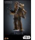 CHEWBACCA WITH DISASSEMBLED C-3PO HOT TOYS