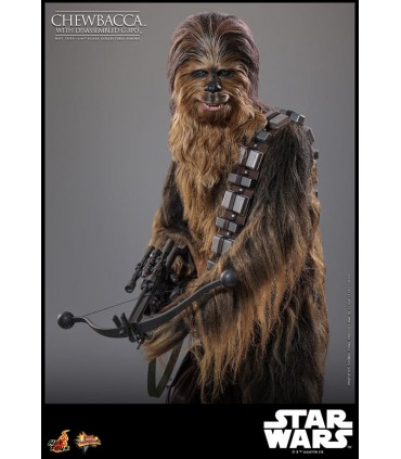 CHEWBACCA WITH DISASSEMBLED C-3PO HOT TOYS