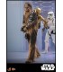 CHEWBACCA WITH DISASSEMBLED C-3PO HOT TOYS