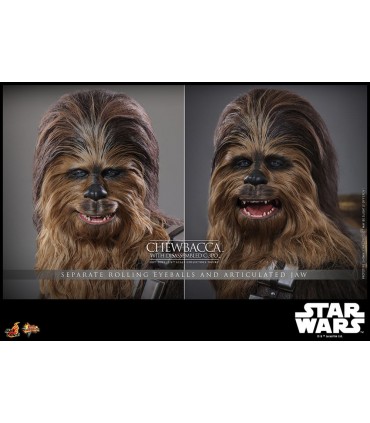 CHEWBACCA WITH DISASSEMBLED C-3PO HOT TOYS