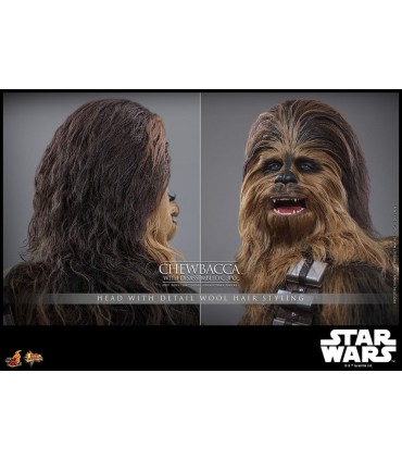 CHEWBACCA WITH DISASSEMBLED C-3PO HOT TOYS