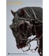 NAZGUL DELUXE LOTR INART