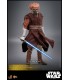 PLO KOON STAR WARS HOT TOYS