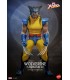 WOLVERINE UNMASKED HONO HOT TOYS