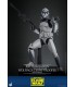 WOLFPACK 104TH BATTALION DELUXE HOT TOYS