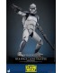 WOLFPACK 104TH BATTALION DELUXE HOT TOYS